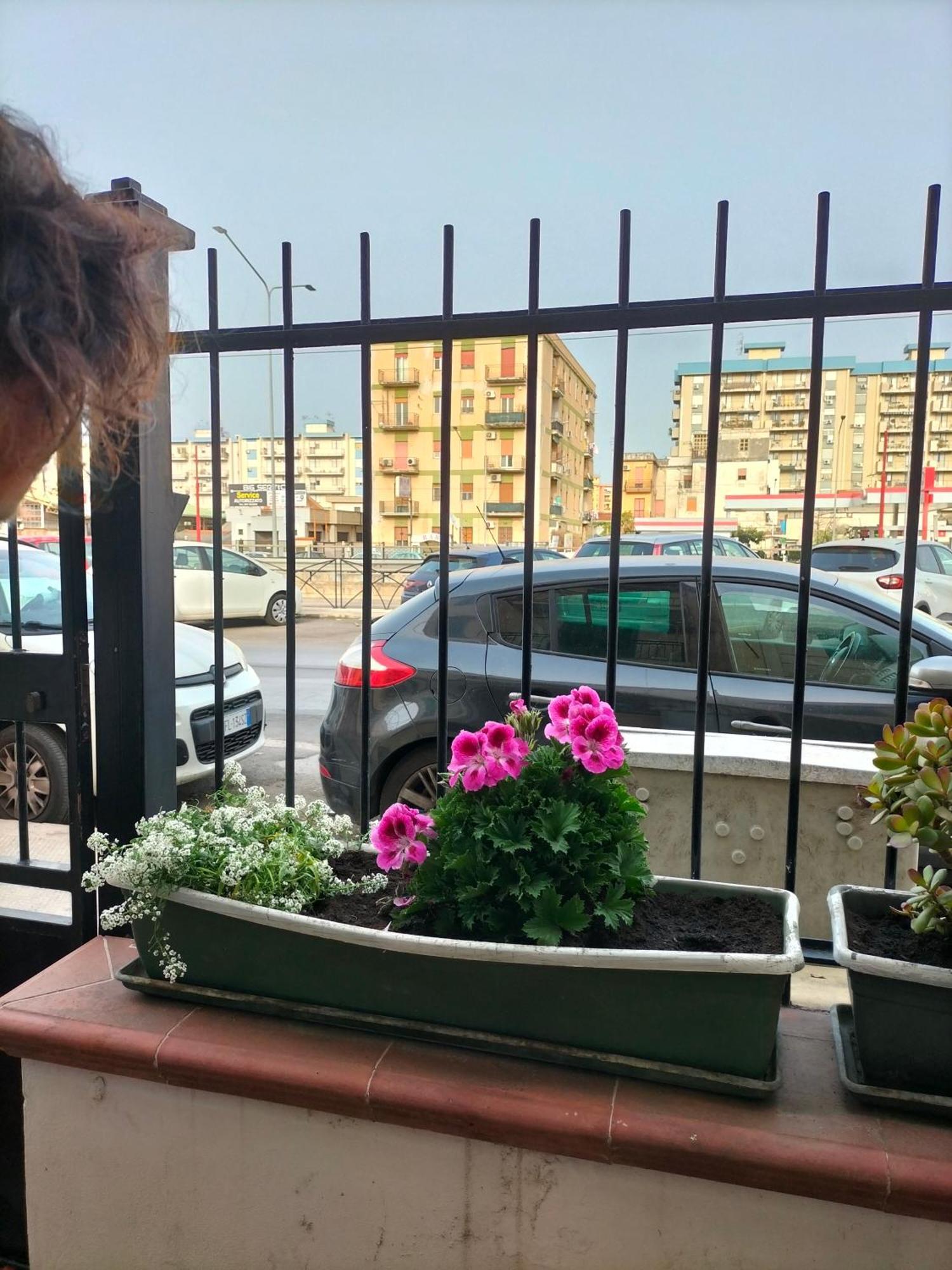 Ciuridda Mia Διαμέρισμα Παλέρμο Εξωτερικό φωτογραφία