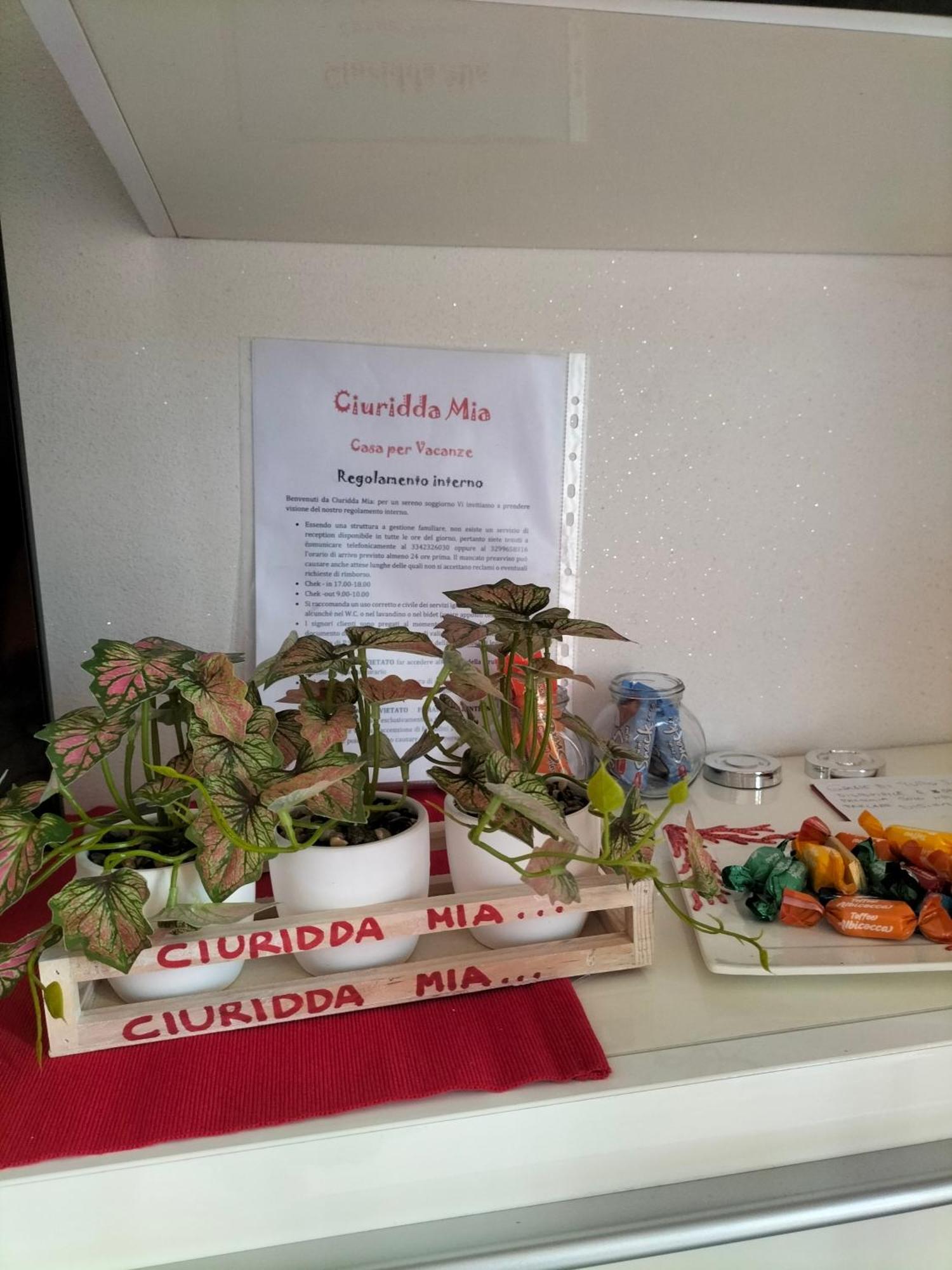 Ciuridda Mia Διαμέρισμα Παλέρμο Εξωτερικό φωτογραφία