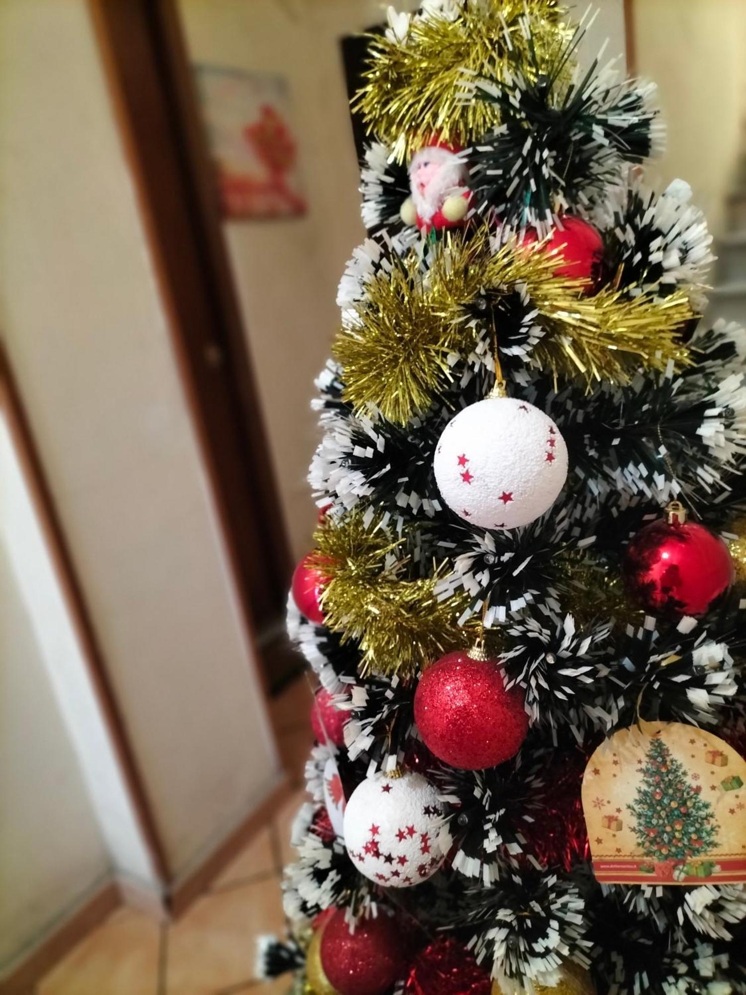Ciuridda Mia Διαμέρισμα Παλέρμο Εξωτερικό φωτογραφία